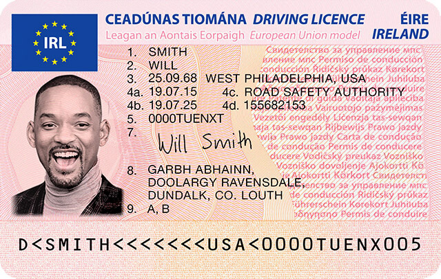 Irish driving licence number format